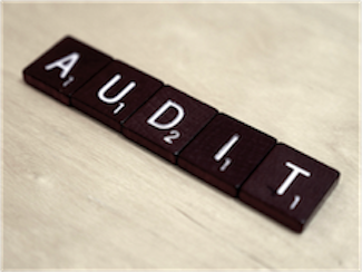 The Future of Grants Management: Auditing