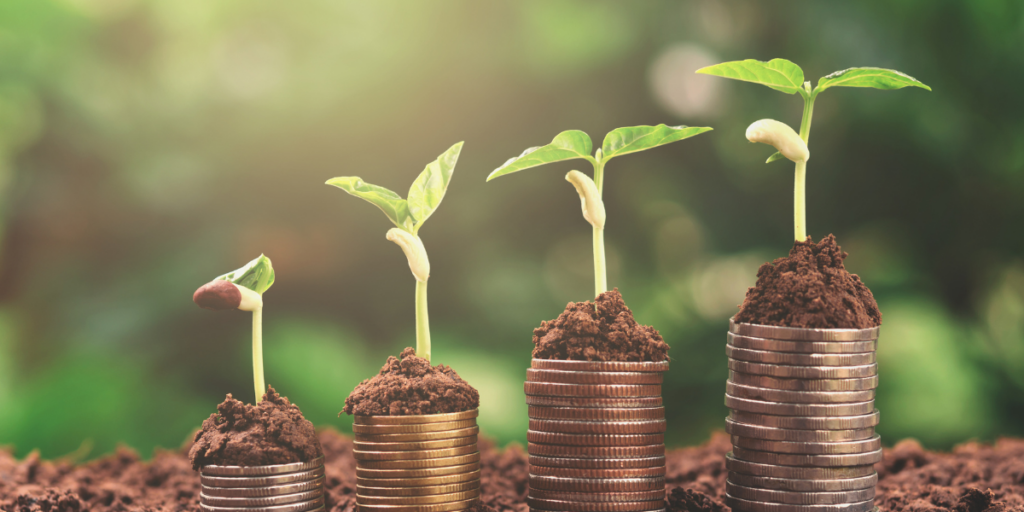 plants growing on coins to represent 2023 budget plan to increase state and local government funding