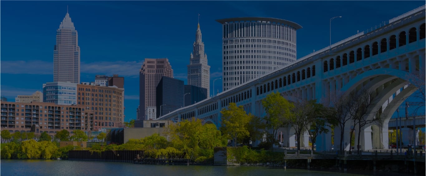 view of a city with skyscrapers and a bridge