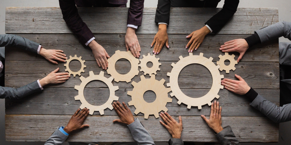 More Than Software: People, Resources & Partners